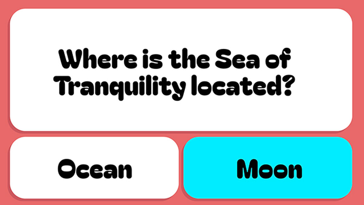 Dumb Questions for Smart People - Round 4 image number null